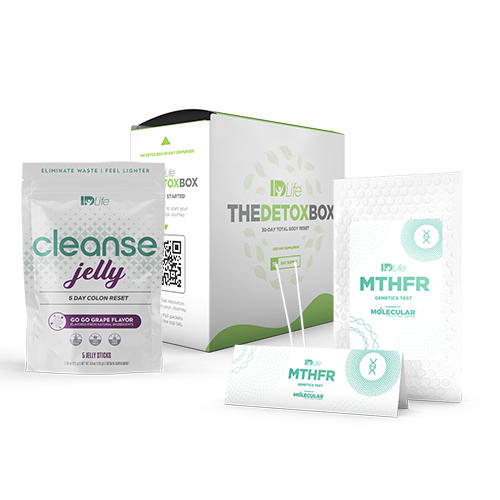 MTHFR + Detox